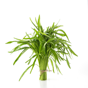 Lemon Grass